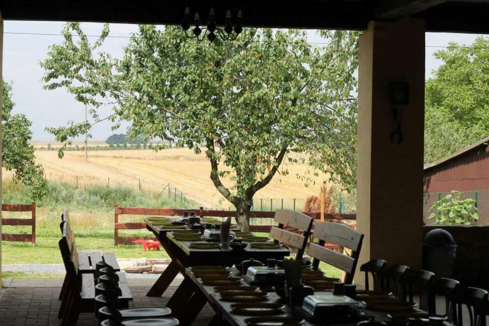 Ranczo- Czarnocin Villa Olszowa Dış mekan fotoğraf