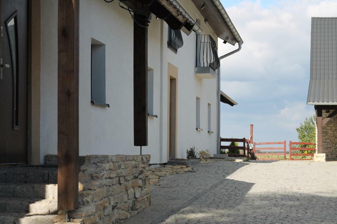 Ranczo- Czarnocin Villa Olszowa Dış mekan fotoğraf